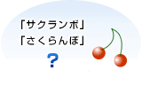 日本語においては、【さくらんぼ】を「さくらんぼ」と「サクランボ」というように、1つの物事に対して複数の表記が可能だということを表したイラストです。